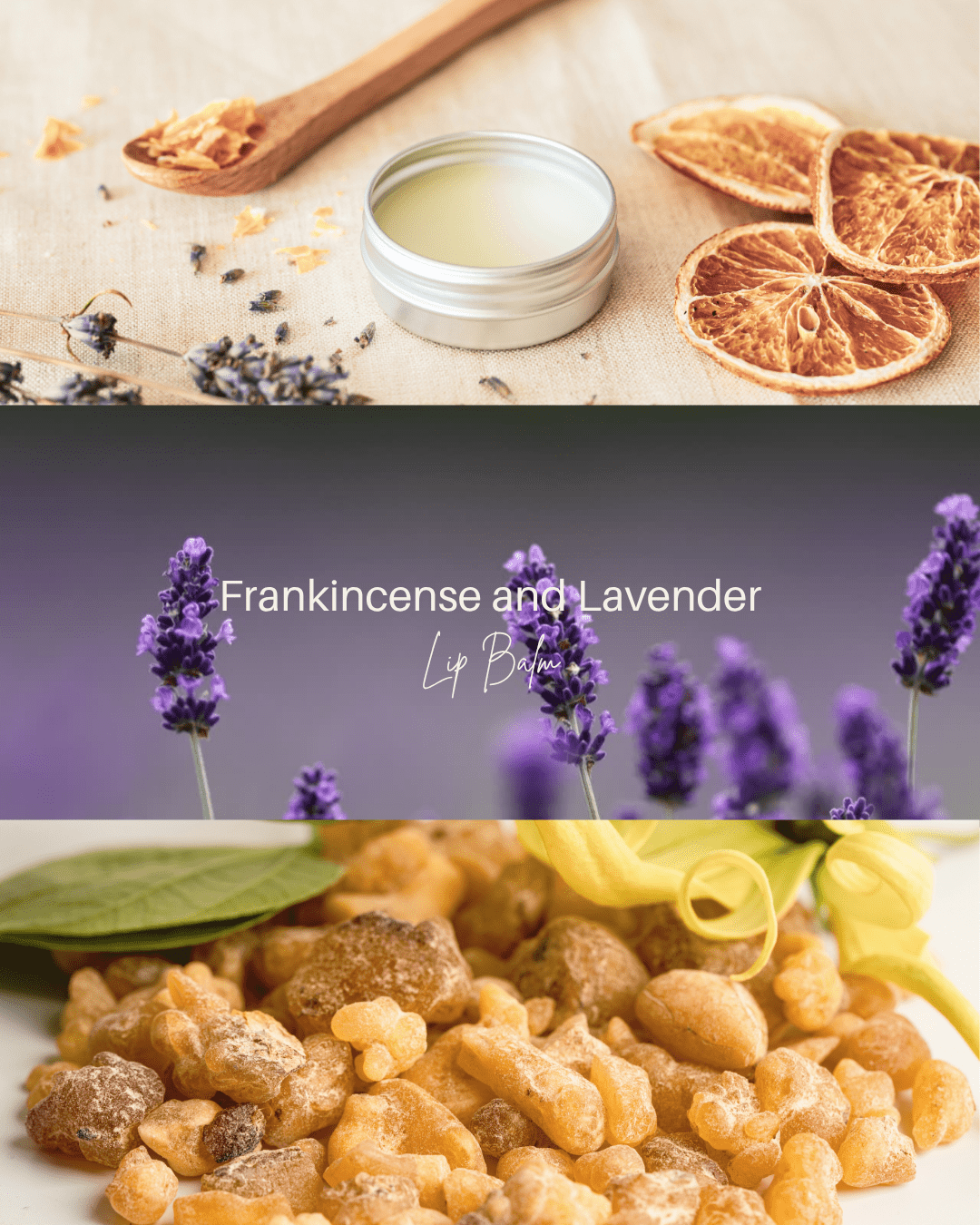 Frankincense & Lavender Lip Balm – 10g - Lewina Homestead