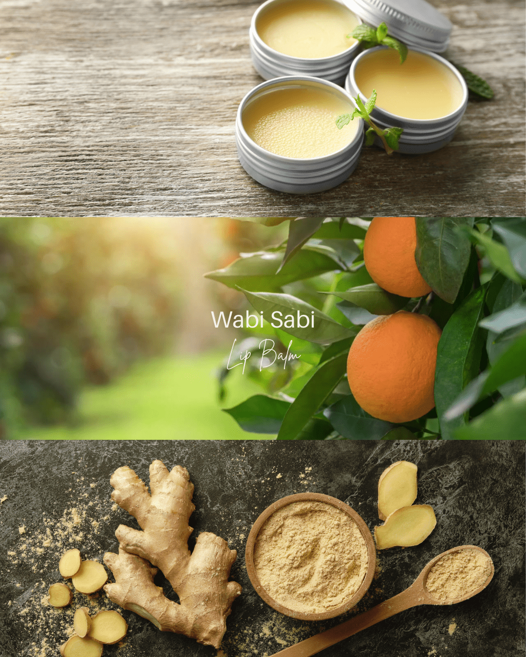 Wabi Sabi Lip Balm – 10g - Lewina Homestead