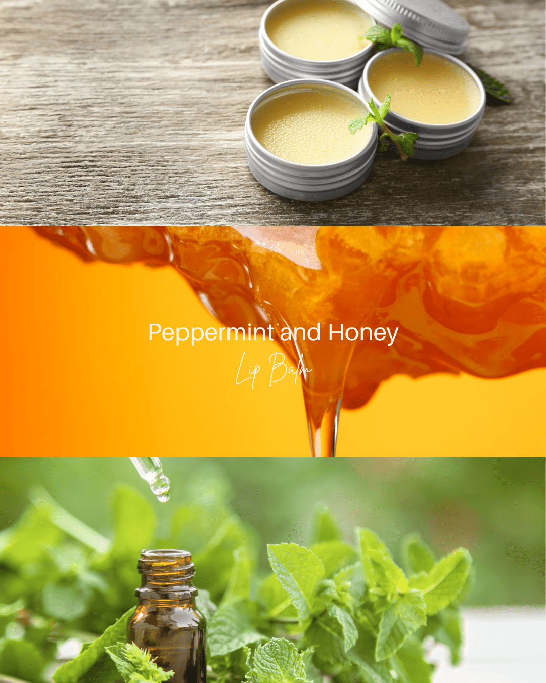 Peppermint Lip Balm - 10g - Lewina Homestead